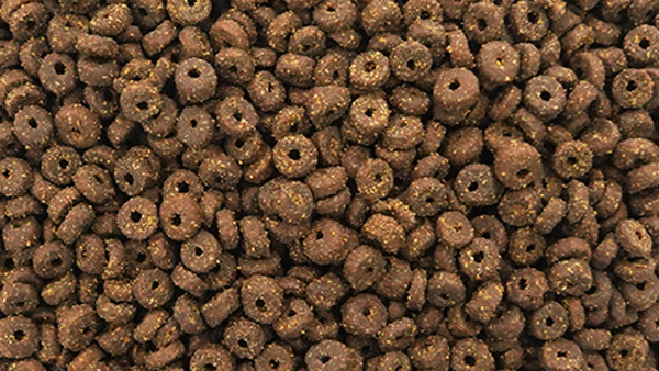 Dry kibble food